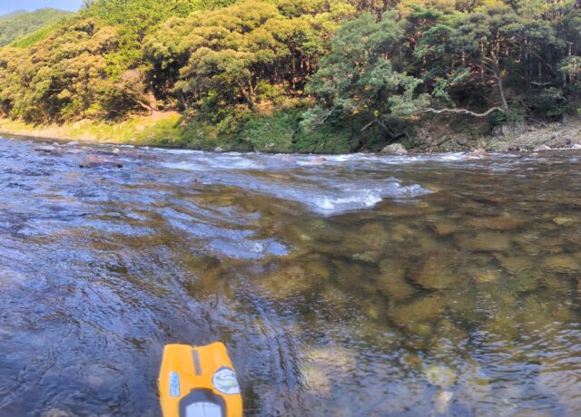 PXL_20250629_080525330.PANO