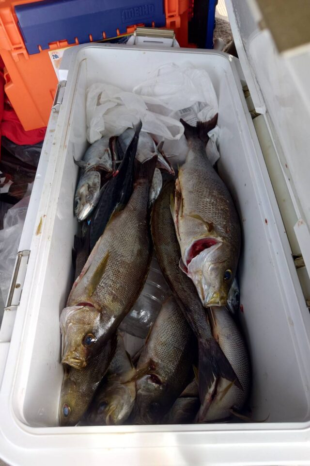 RuyzkNV2xU34u0hUlyJuxE_lrAg97LLlH-cyvCWWu4AJSUkpGwKyooxlj_VAOJTZds6YMgz8nlY-lTfqmywUhCR67wLcnpV7G_gIWBmwD06RlCASQnyrWMBrGKyxvWGVz-l8wzGQwHLkU5ioxg2GJw==