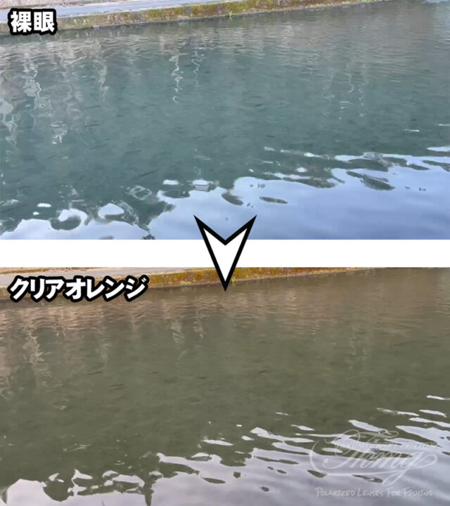 クリアオレンジ