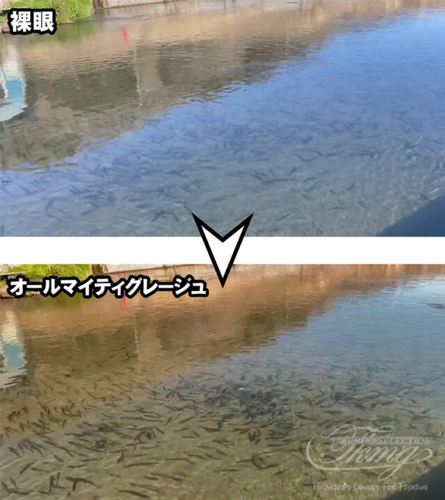 オールマイティグレージュ