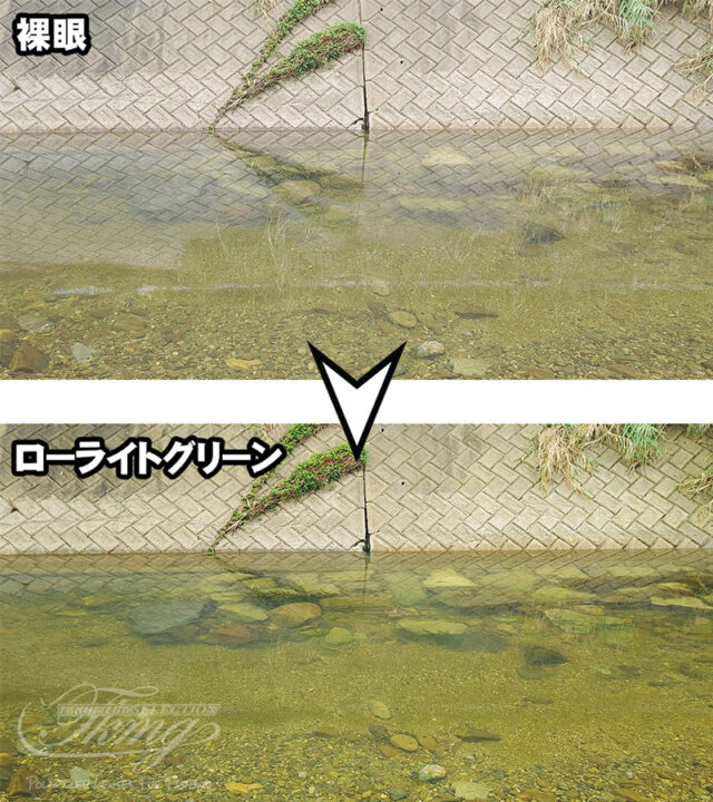 ローライトグリーン