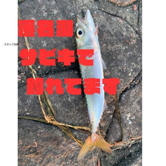 vei5USlZ4skGq6th24vfk8AyOe47f9w5BsuF_KHuNFjEbAjMurhJESKPdWKR_yAeW4OC4fhQlUs9Jx24rKd77EnoaSEOGvMPmffY5HAIRM-q1Y1H9aBxDOyk_Bb9YHpWOObrIXWDvj3wvVZWXR7TO