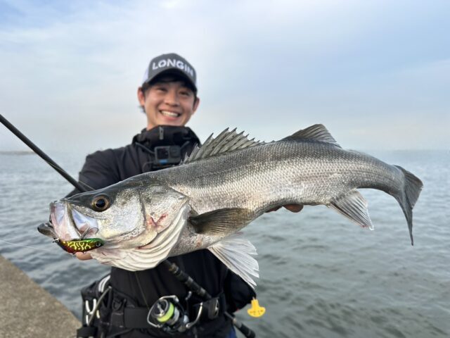 xNa3cIaMG3QeD5-b8_V2tWUoqlXHjjAcwyNLZd2g2O_pC-G7fSpYA21M9HU0hDZXCu8z_P6xJS9Yyviutlyo8KZHAoF1EInW5Ior_nO_upIUunW58s39gjTbxGx4sjOCOObrIXWDvj3wvVZWXR7TOg-640x480-1-640x480