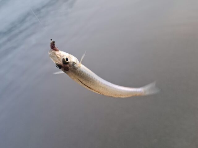 20250702_184653_016~2