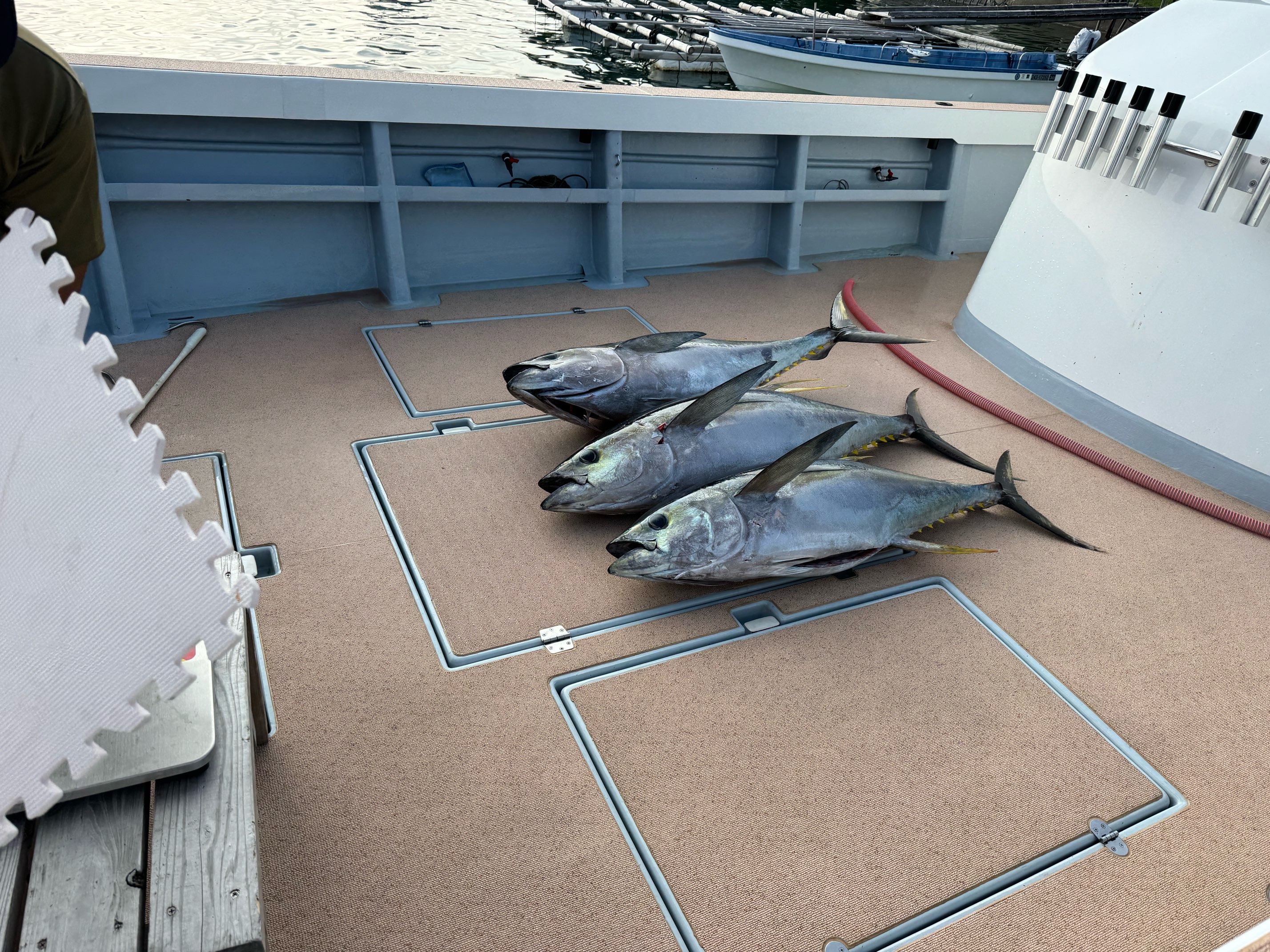 初のキハダキャスティング！ソルティガシリーズを体感して来ました