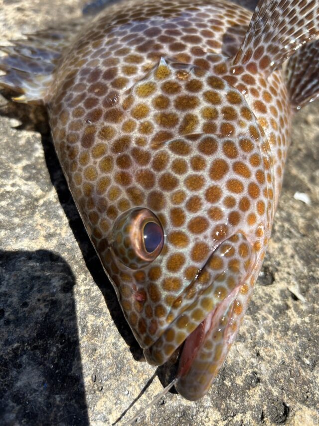 8nQnDhMFFgOFqGbHi3_SM-guzh5kIgr-ftIbjsgORne7BGuWPdCYS161EwrtiygqsGQDIbjCj5GCGuit4quhZxZpGAs6D5O-9tg40k5TDlyu3Rgjdsrr7yaIk0lU3nIwkCPUNF5rJUTpUxwFl42Qjw==