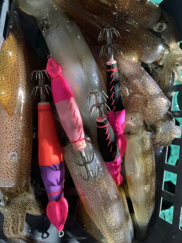 BWzg9aRFZC-iO5uKsJvQOMx8yya-knKpOGGPn-s4oX_FED3V4fblxn1HmmkjOjpHIYw3IpO8FF5bETXmUBMBWH6jpjKeDojjIPLXD4_nRiRObo_jldxDhmEA_LSacplNkpngZXezwyv0UN-p8nCI8Q==