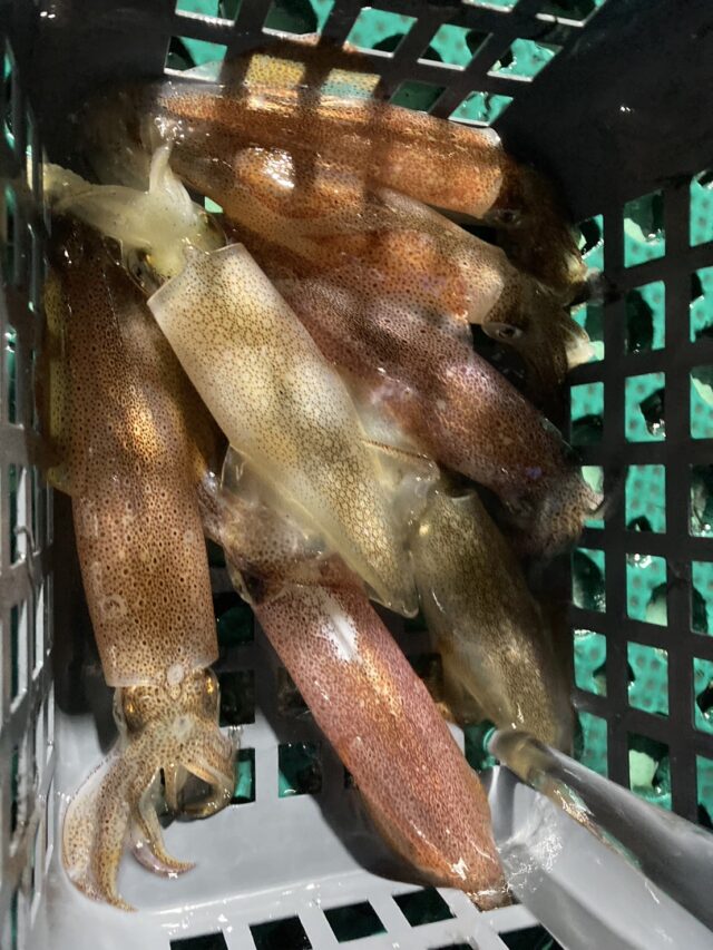 Ha_kdaroe_PSAmgQkC-EqMPe95z-BDVwcKhWKApqCz02mxMzEqXVCBy8NkoStln446nYtQvetRSqZmRH4eordvoZGUujU38l2MKtmO-UHs-7WEDbHb_2V_UP0Hk3ajMHjgTjgTGATm1_gXXKFHhmhg==