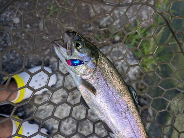 PXL_20250723_070526136