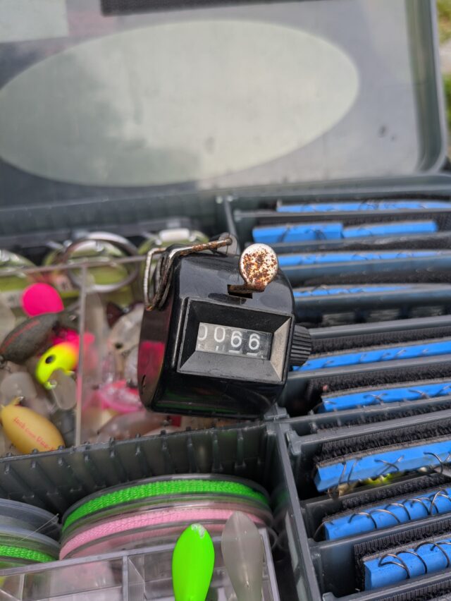 PXL_20250723_080433758