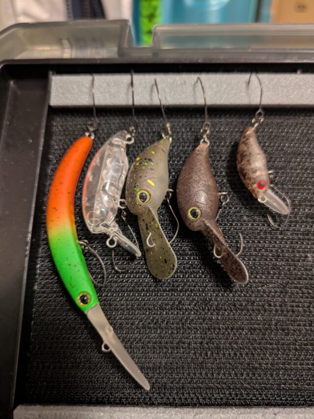 PXL_20250723_131954104