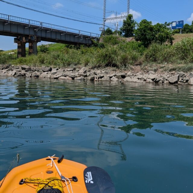 PXL_20250724_015607592~2_copy_1134x1133