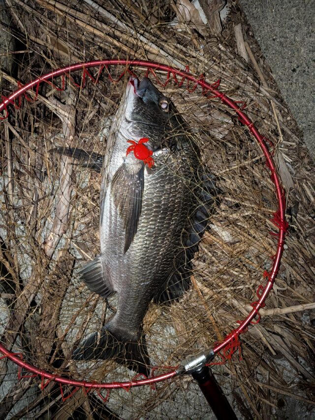 PXL_20250725_164229405