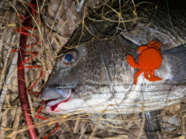 PXL_20250725_164234404