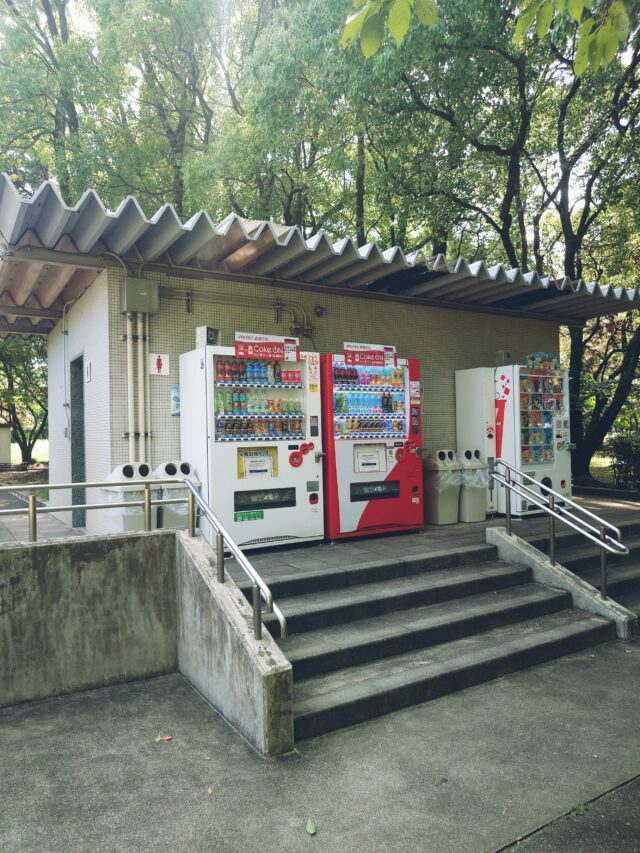 Polish_20241001_151719817-640x853