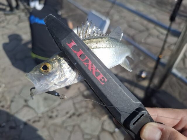 Screenshot_20250723_093830_Photos~2