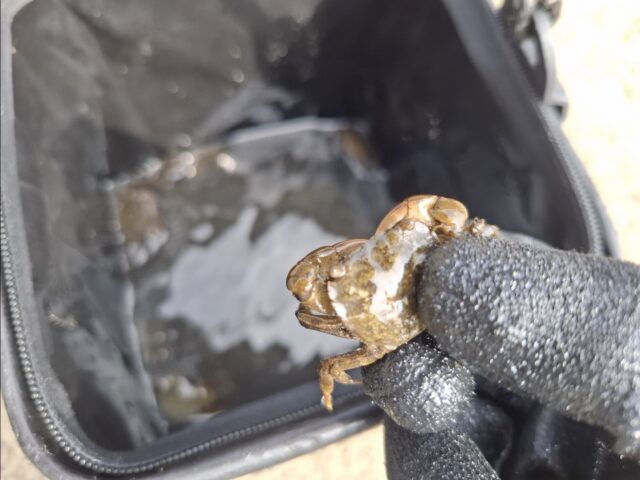 Screenshot_20250723_095510_Photos~2