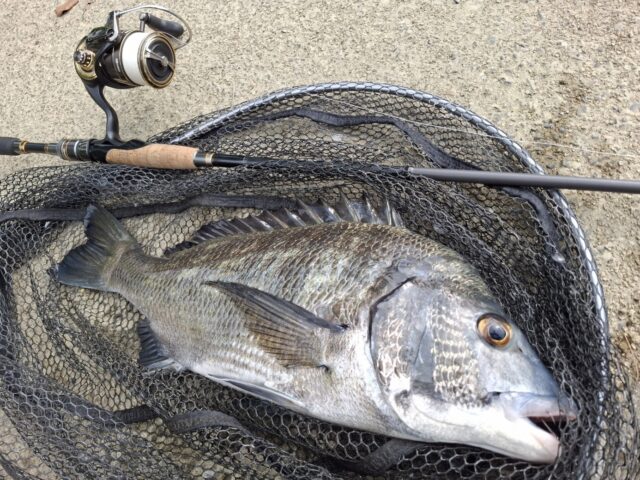 Screenshot_20250723_095520_Photos~2