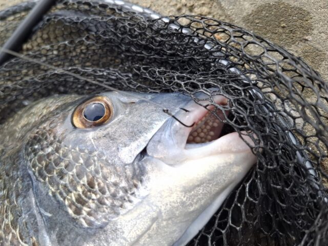 Screenshot_20250723_095523_Photos~2