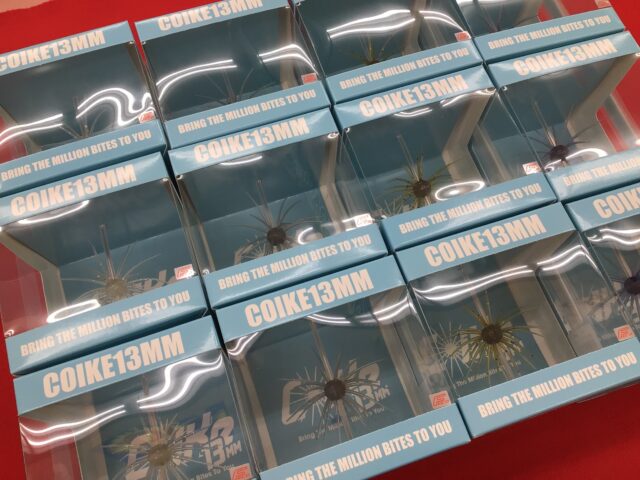 せきねブログ用