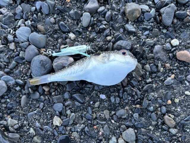 line_oa_chat_250715_181117