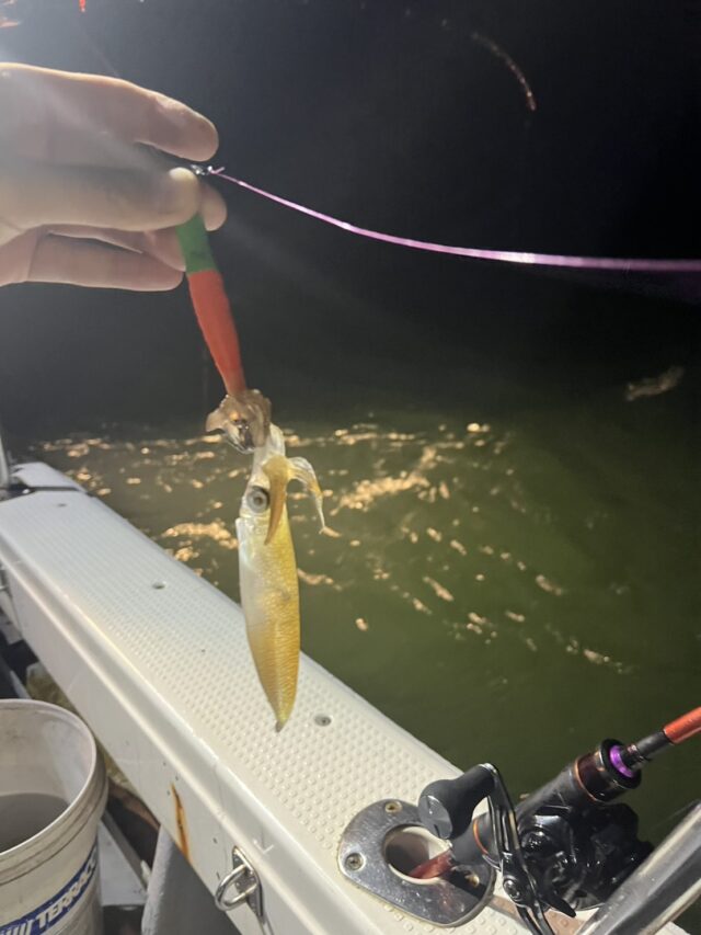 line_oa_chat_250718_121739