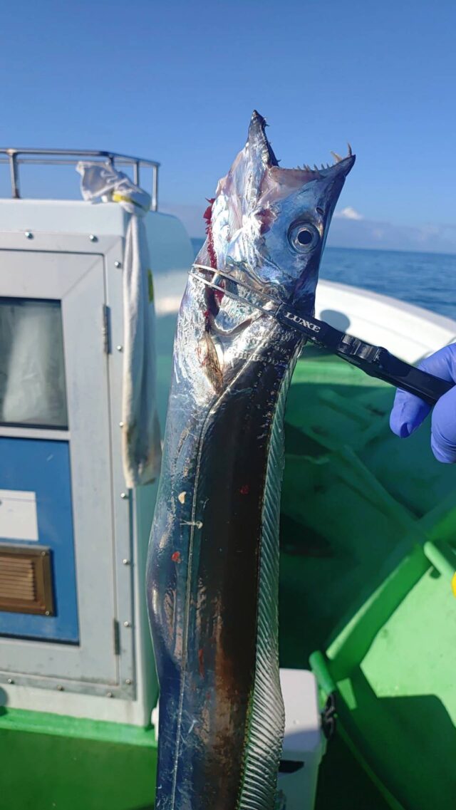 line_oa_chat_250722_190549