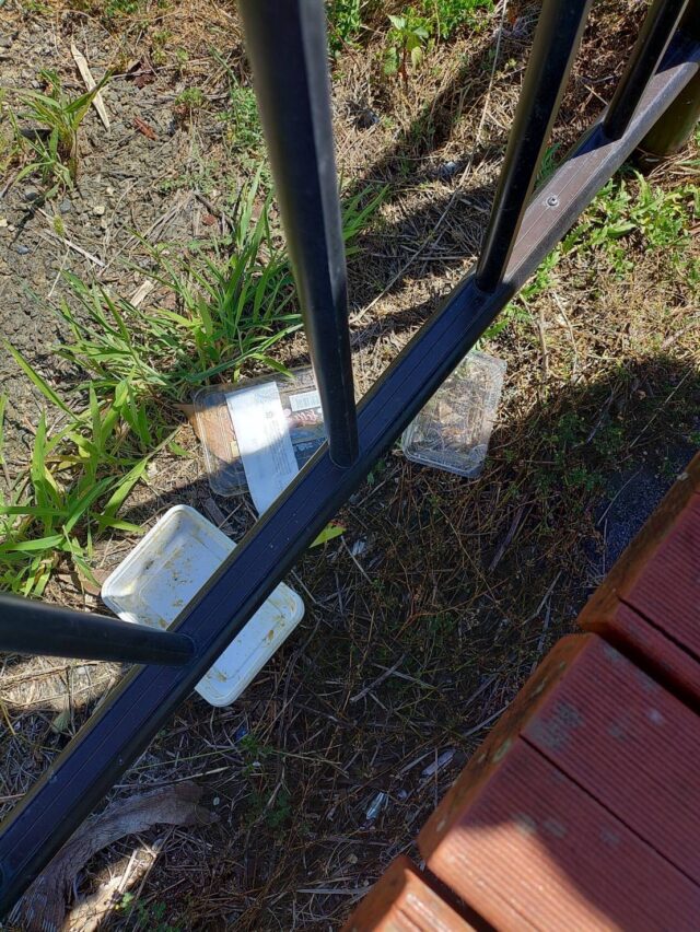 line_oa_chat_250725_123832