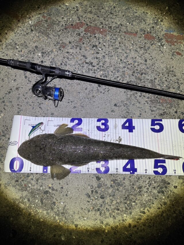 line_oa_chat_250725_151613