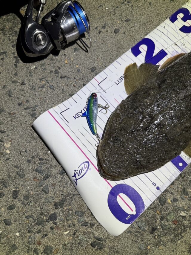 line_oa_chat_250725_151615