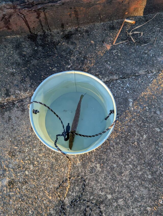 line_oa_chat_250801_145625_group_0