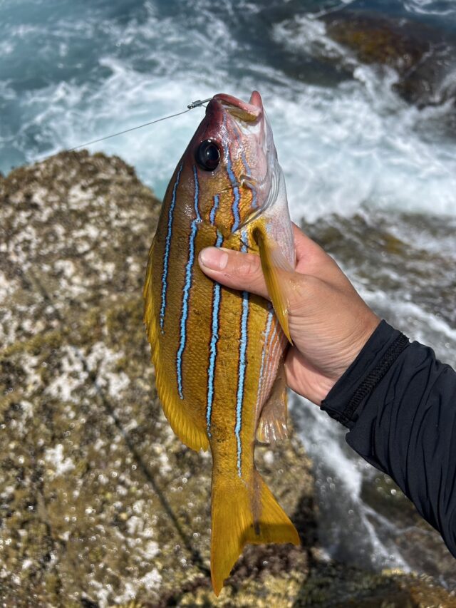 tJR6uk-gwWvegltxiu0qIPwm5eNZNxnYfBXk_PU8GyxlusS26Um5n_t63U-IsxgXxba7N0mzVN-DpyuBeNCXnQKWnUb9OAa76T1xppLHrbjGXJWphj-0rMPJMTogVk37PGAWgRoNfwFFSQkqTkXAuA==