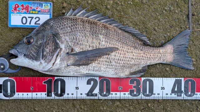 072 7.15satoru様 42cm