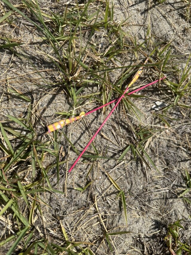 0gILCJBCvN4tg0hyAxgingE9Qfc-wDFcZhq4MO4OpvQiffcegjnrFWqr6O4x0lY_ZkgfARcWGxMSyxiDziSIhd1sJYpa2RgqCSbZzS7oZbqyxIk0ebVYgfXZ0gh1PfBqCPs1Dl06N9VAVlxHgFo47A==