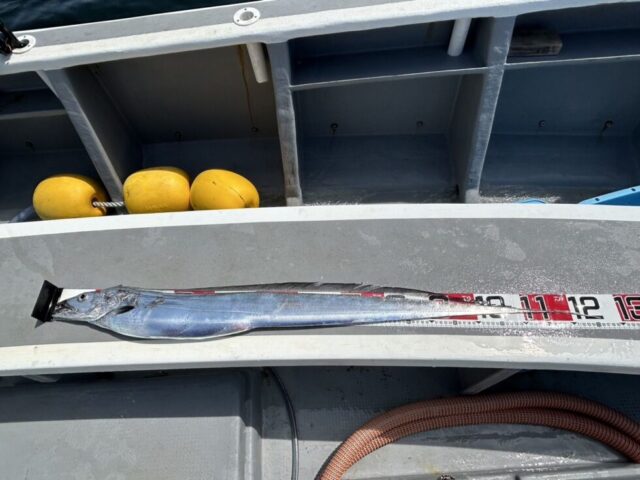 17558324822052130746582249675431-980x735