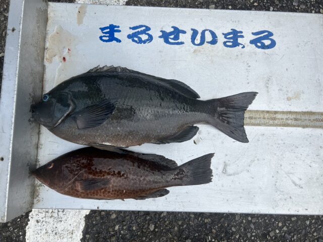 2xPJWz_MDUXeYrAZ1Uqr34yjIOCBU8fvFfYEcOo6z0jKu0x-vgYm-QSZo5h7ytuwIbO0_7aX1NgHotPITY5bkpRk-jelBaedpexhZUn8PTpJzUfp5iKeefyhDN8gus1vCPs1Dl06N9VAVlxHgFo47A==