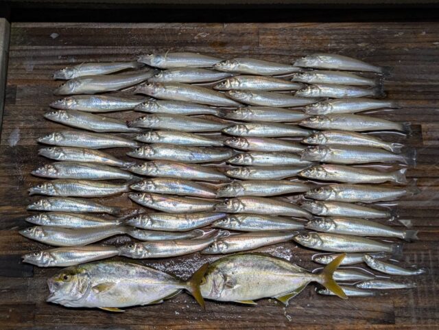 4U-rj8hsGGuNOLo-Uie5u4C8ZJbM0-XxXLjNzOoaCdu2qQej46wz2mkAnifue7cM3PaBOletzuQXTPzJocH2mD_A6wlZM7s1FE6cLOgQIeHH15CFr9tmY5WtKBLZ3ujuz-l8wzGQwHLkU5ioxg2GJw==