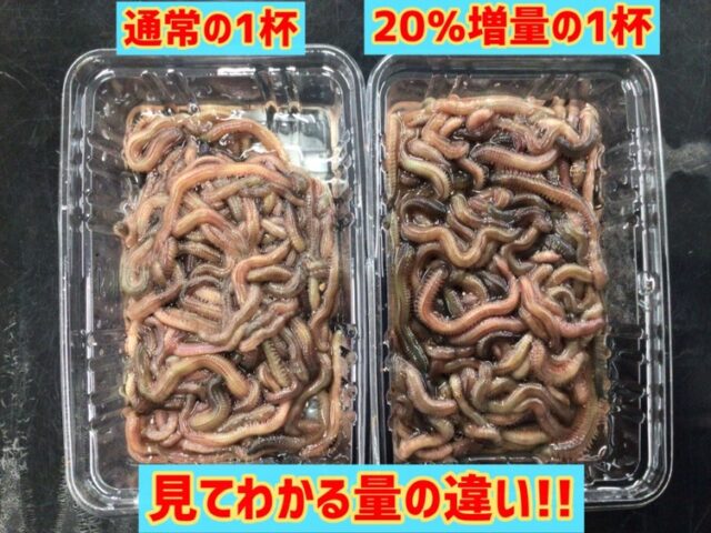 526071086_1560202894943842_2734784937936188721_n