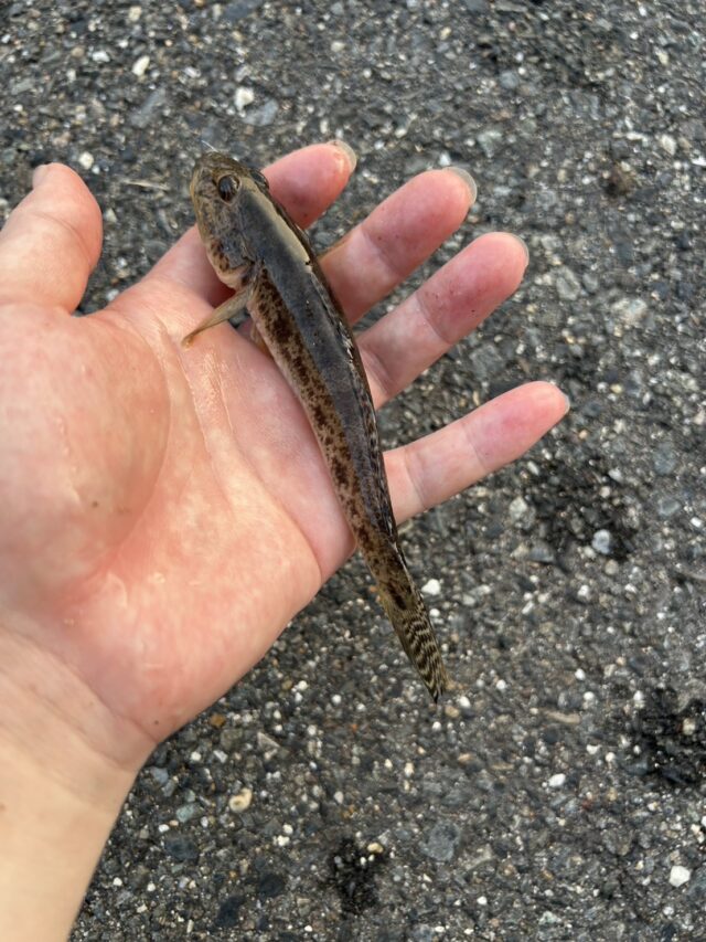 5Ndl6AuNzp7MRU4xisEWpc3R3EdJiT_RKgdCsqYchatqzC_TOLAf89e5JXoBtp4XZGTmxXcRUZjvysRHJOVKGxKNfu5wR7LBFZysQ-Jlmnq0G618cAZtTk72v91N8vhXkpngZXezwyv0UN-p8nCI8Q==