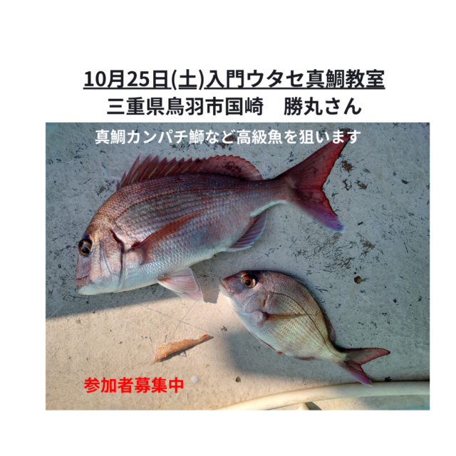 823タテ釣りのコピー