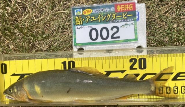 EqNRPiJkZXwqkoFPBnK1KEayOfVDxkSEeI7XsRTy-mF7uMqF8l-9wY7EhpfbH1TKEhV3kUwo_URTulXQ4BiOloOgayhhXtfrXHqnN-q-hDkgts7xPWwf-zSFkdlelvwwkpngZXezwyv0UN-p8nCI8Q==