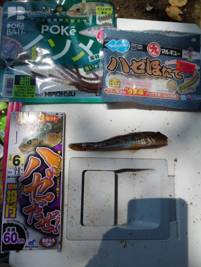 Fe2vYjF5gv5Sd5EFlUx2NPCvezGg7l_KlI8YdH6dupVbqoO7fC_TstFSVrBvPh147s0iAAk15mU7XebbmIfU8DhOErFd7IDFh_2668vL5i7_L73EWUc-O5cJE-ZXDM3Ur6fRbKROf4YksHppMo5QDQ==