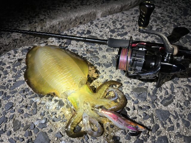 GDx6petxQK3pZKVI2_dTYExIfRLZuLf9fd-xwZvRK0ip13Hl2d26xxG9u6Vr3kjNRiLt1Uc1TjrA0eRzCmnTZ9L4ngaTdgHtLSzyE-xWBd4dwykPoZO4-fWHnfx8zYUkOObrIXWDvj3wvVZWXR7TOg==