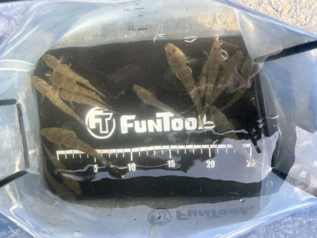 Hnc6-BaJ_PMpUFHEFYFVRU5AhpPrCxd15rCRu_bobH2HAGB-HX1XvJLAdprKmgh4t8i40oYMJYF7RQR8Et4vNYuDHvn8z5crLZimS5k2_nocusFlYwVHwn1cRNbXX7qqQ0mGTKiMiK02azDH-NEk1Q==