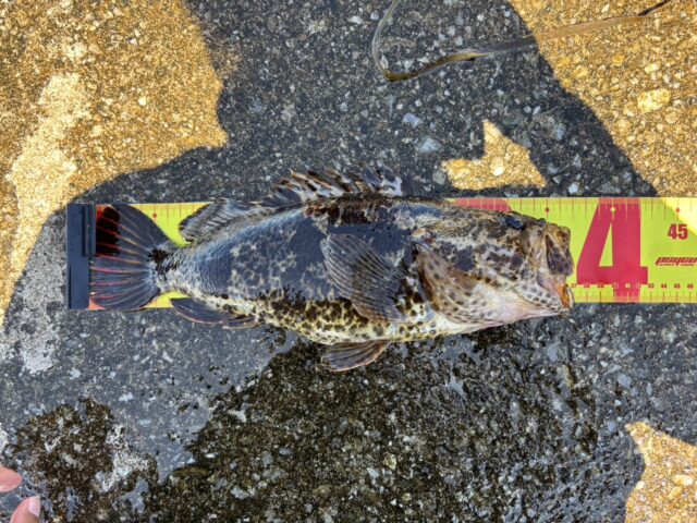 I_JFfO1IcO6oSE7trnWB1jFbwbJFSn71lGLxiLZqKs93IZ3FXtAcR76ZSjIf3gISIyz_DsuSmPVQ3PtQYPeIMh2kpd97HotufNP5-CAHMc2LzqW4iVyaFuizB9glzs8fOObrIXWDvj3wvVZWXR7TOg==