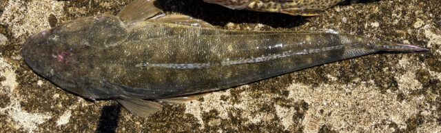 Jpf4MkGad_tjHXpR1sqhW6vQ7tyVrHPGBWjrzds1knZe5KpPPZouPKQoLxExIEJDKPqdPGQqpygoi-UAybZUYoZdX1NCjYjTeE01N-HG8_ab9xJ--qf37JLi0eett-U5CPs1Dl06N9VAVlxHgFo47A==