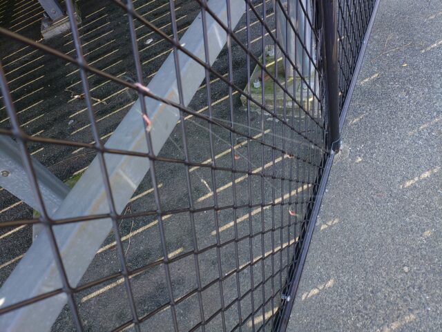 KIMG20250822_100111606