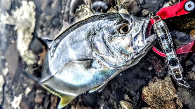 PXL_20240908_064931548.MP~4_copy_1336x751_1