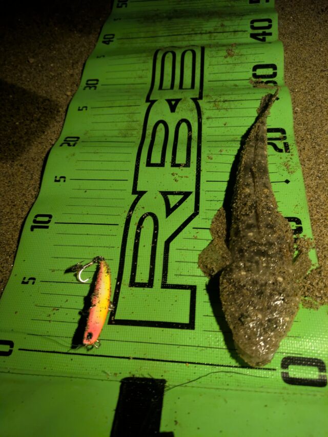 PXL_20250820_152954282.MP