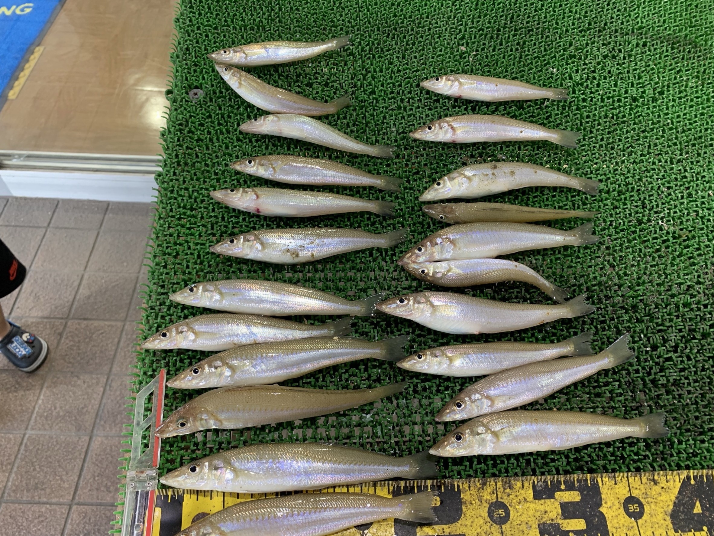 RobMV9ufjQLPT-MenMl0G4B_WvSSE1TFmBnC8tF0KRwVBoPA84BTqyOyInbrh_YbCkw7ZKa4ZgUoQWtuMDsQnhykly9wG3o3iOlP4tK4DF6ZeDx49VKva9VKPd7jKQmahQ7XXNlMIvOKyR-Uke5ipw==